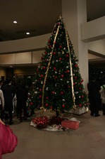 20111130 023.jpgのサムネール画像のサムネール画像